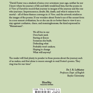 9780989358316-JacketGrayDFoster.indd